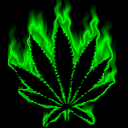 081_rica_marihuana
