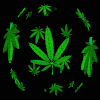 marijuana_globe